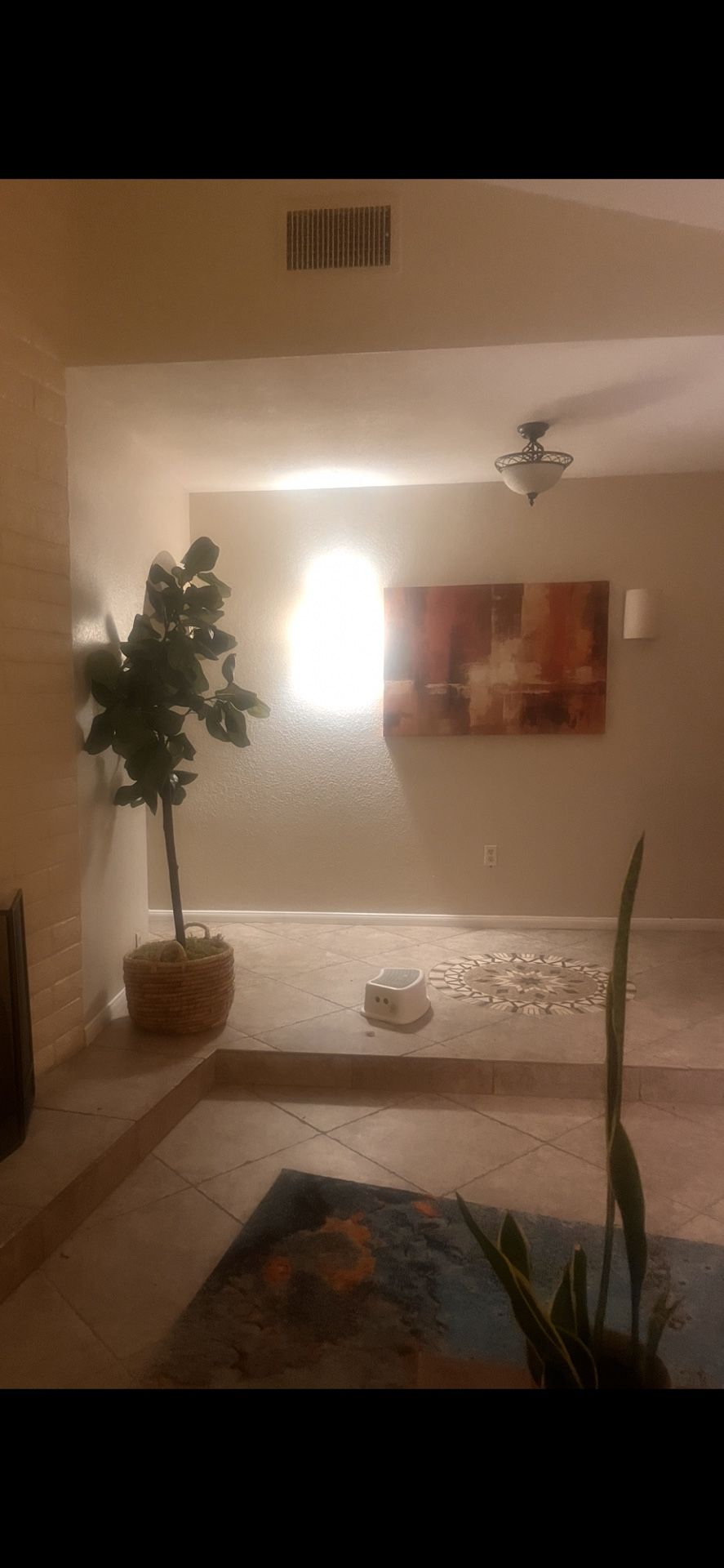 Home Decor, Plants, Wall Art.. yard sale