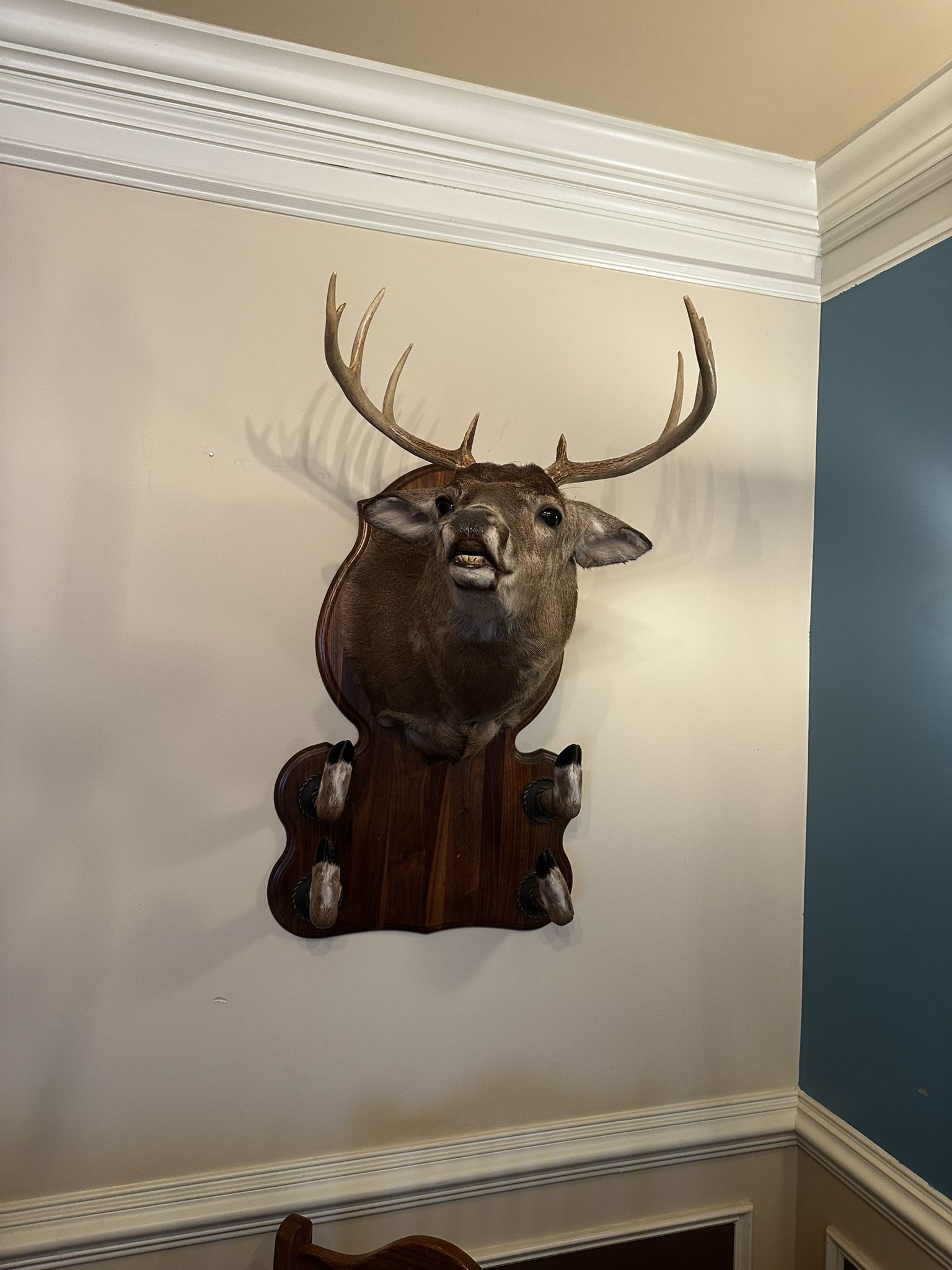 Deer Mount