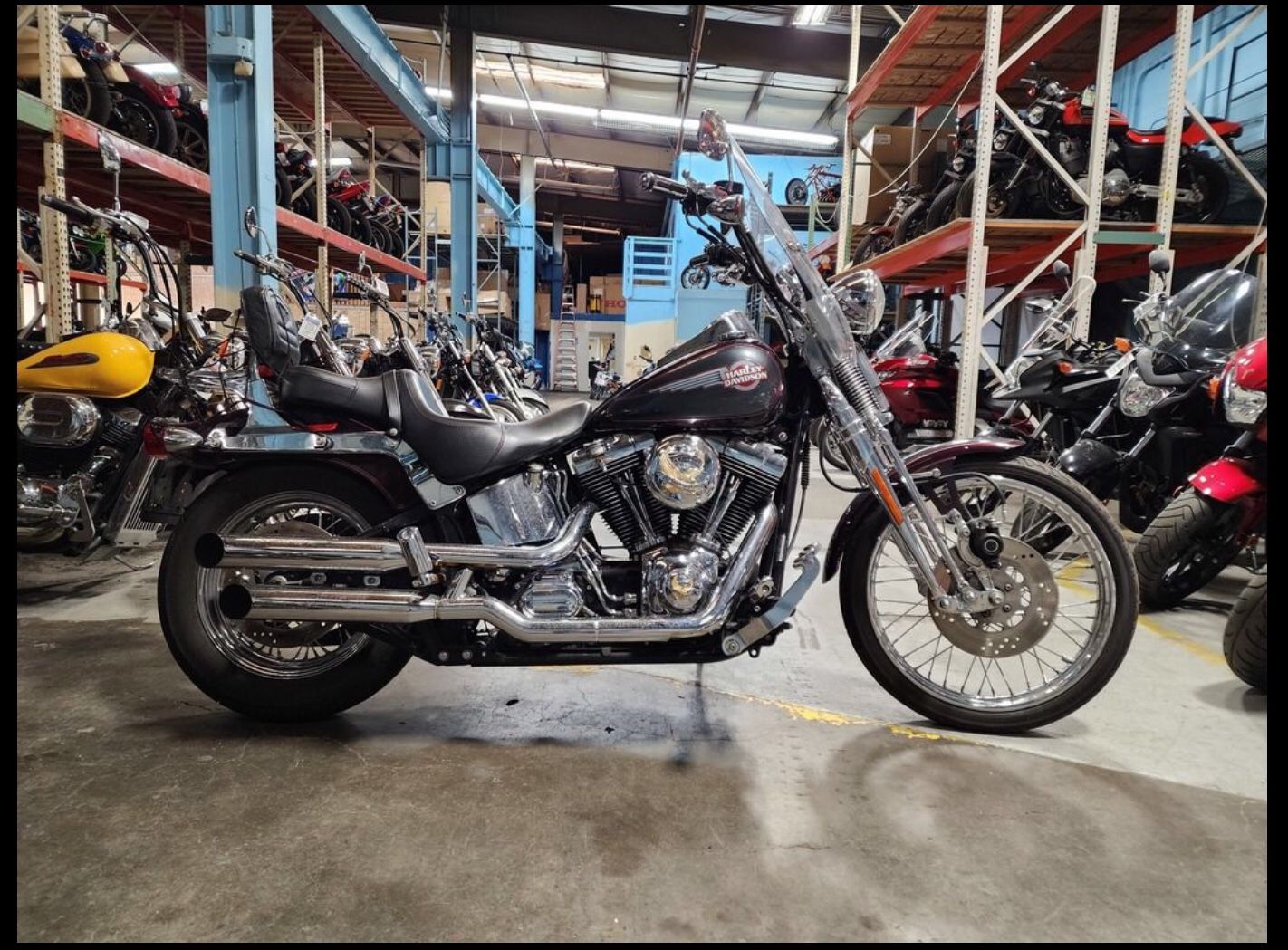 2005 Harley Davidson Springer