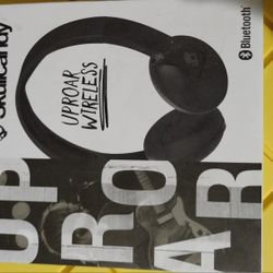 Skull Candies Wireless Headset This Works