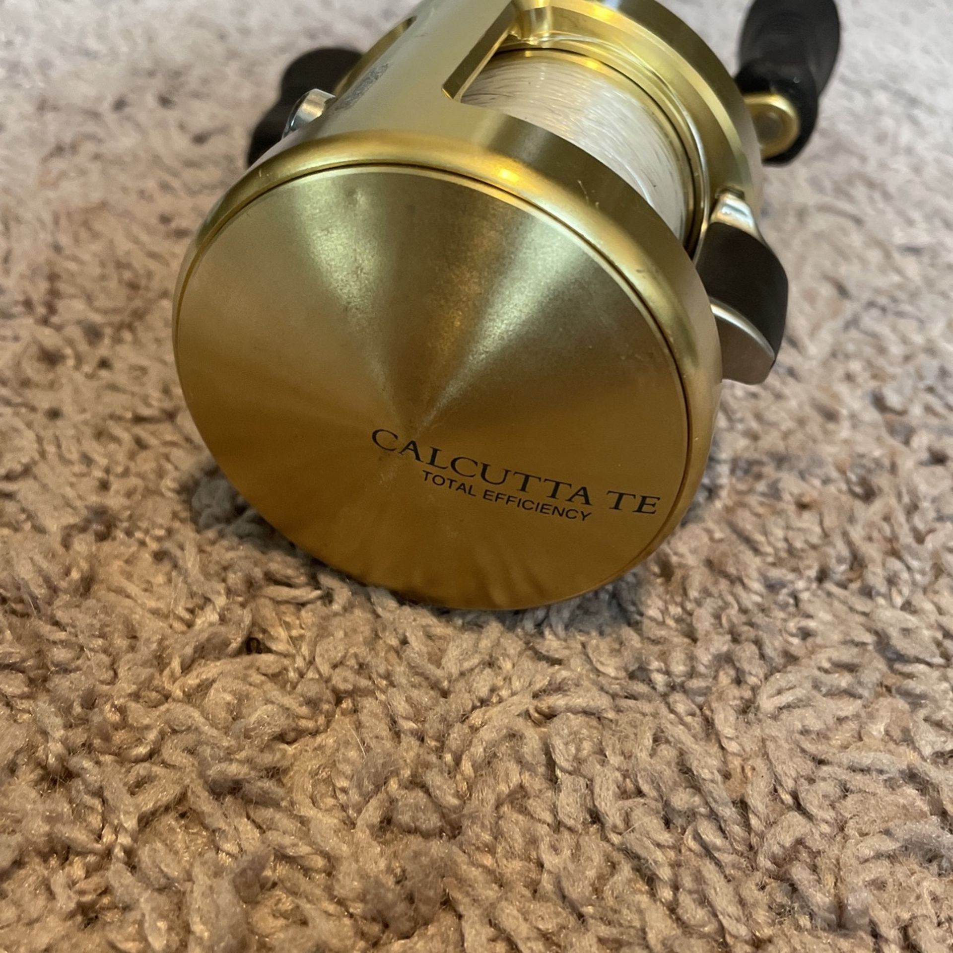 Shimano Calcutta Te 300