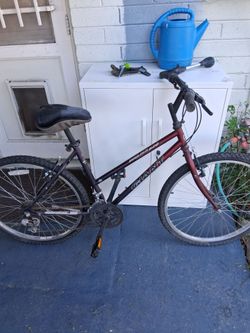 Woman's GIANT Mountain Bike