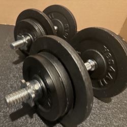 Adjustable Set of Dumbbells. Cast Iron, New Condition 46# per hand [ Total: 92 lbs]