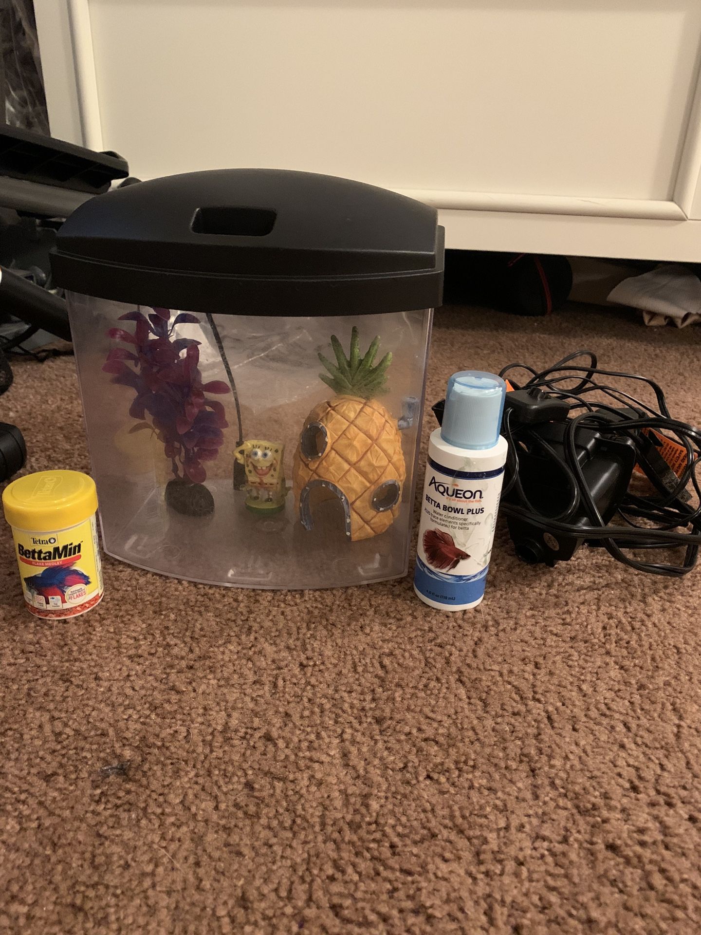 Fish Tank With Supplies