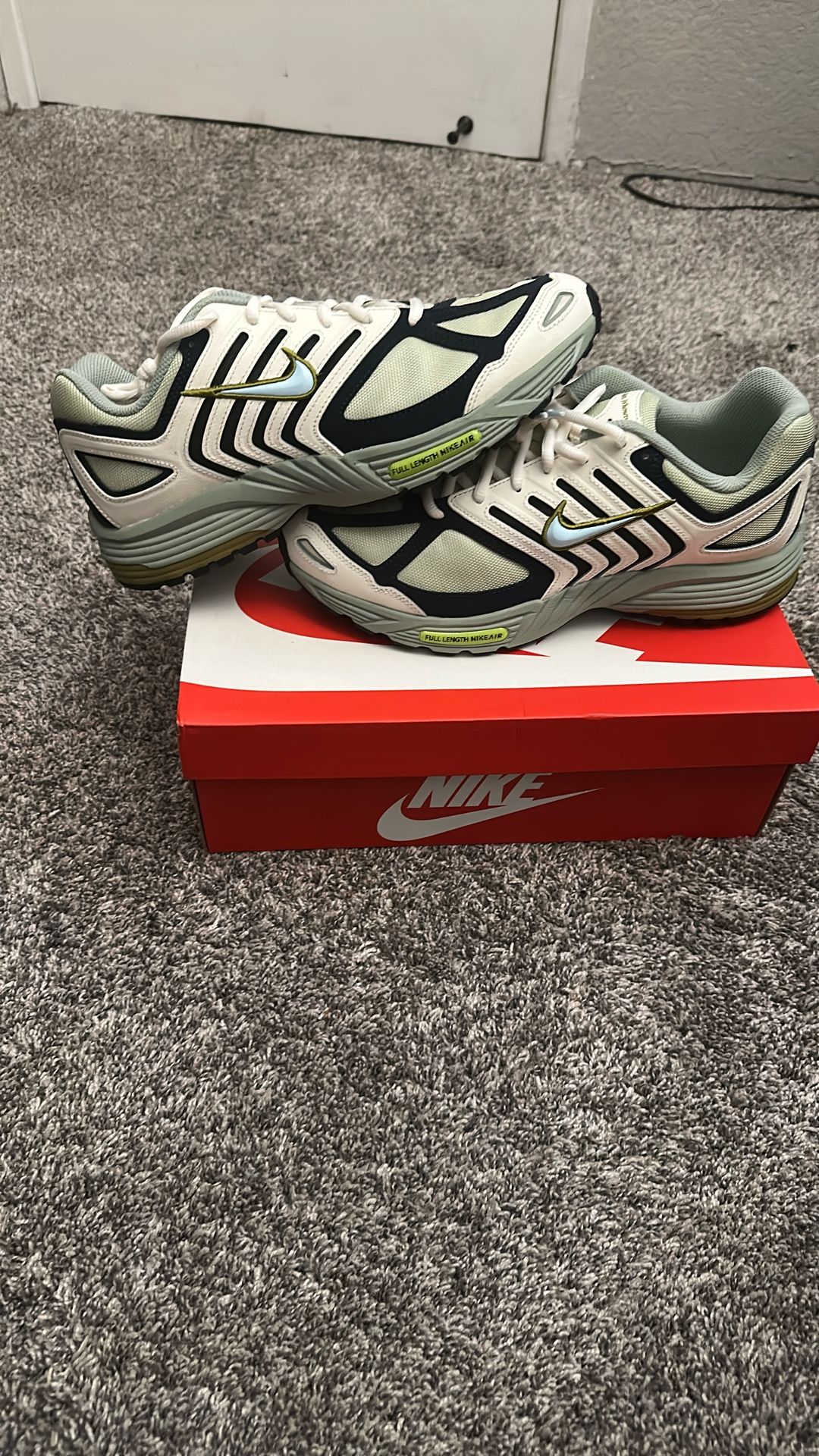 Nike Air Pegasus