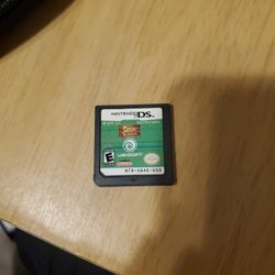 Ds Game