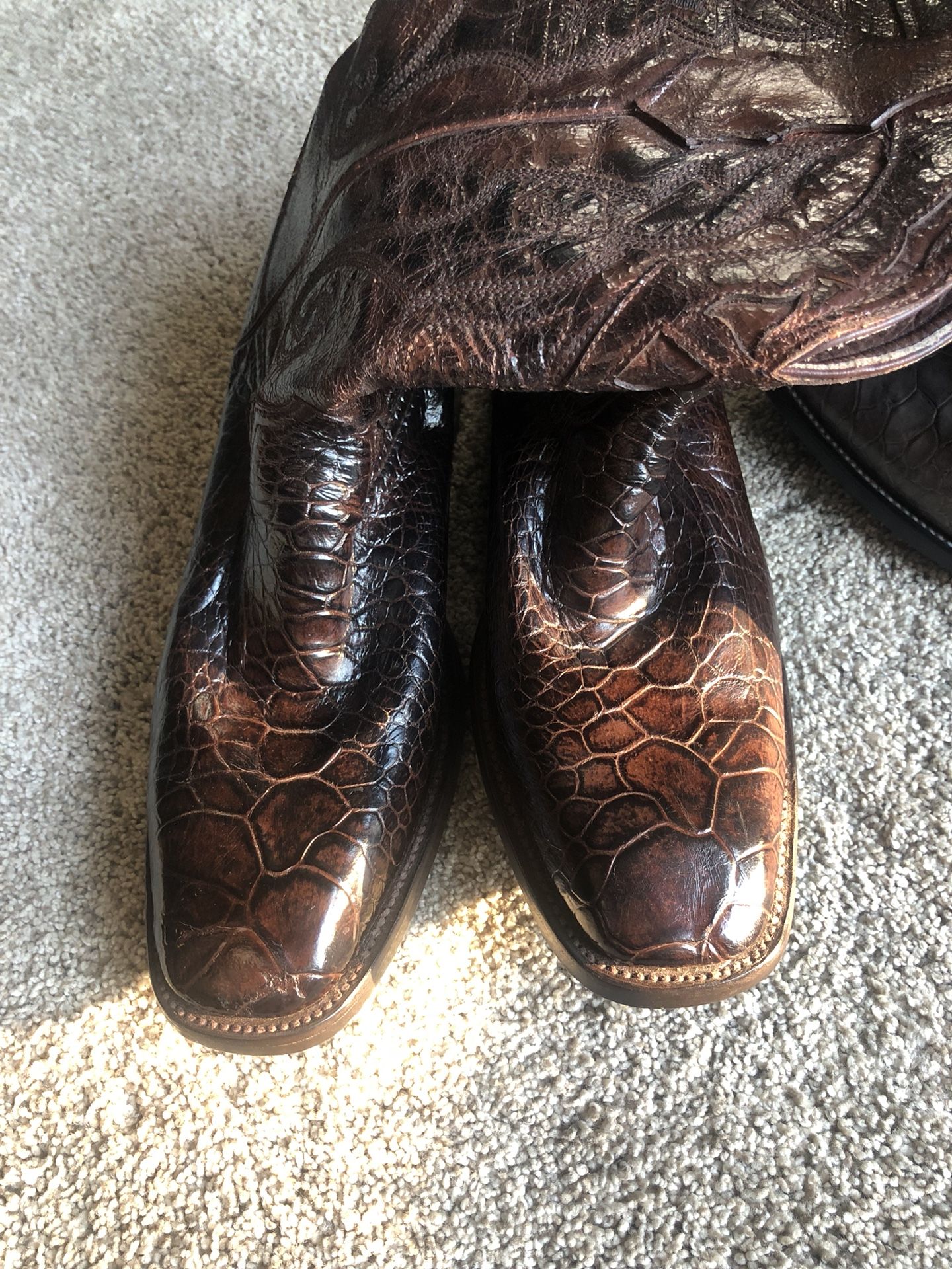 Sea turtle boots