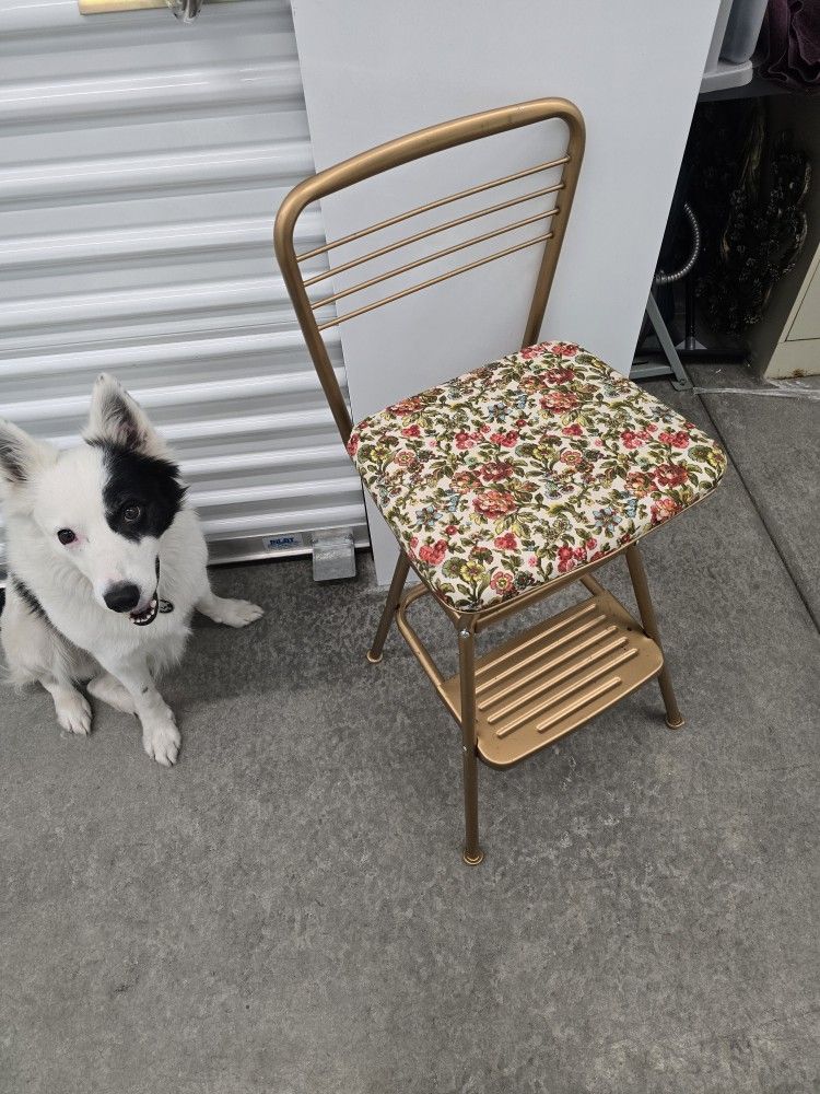 COSTCO Stepstool/ Highchair 