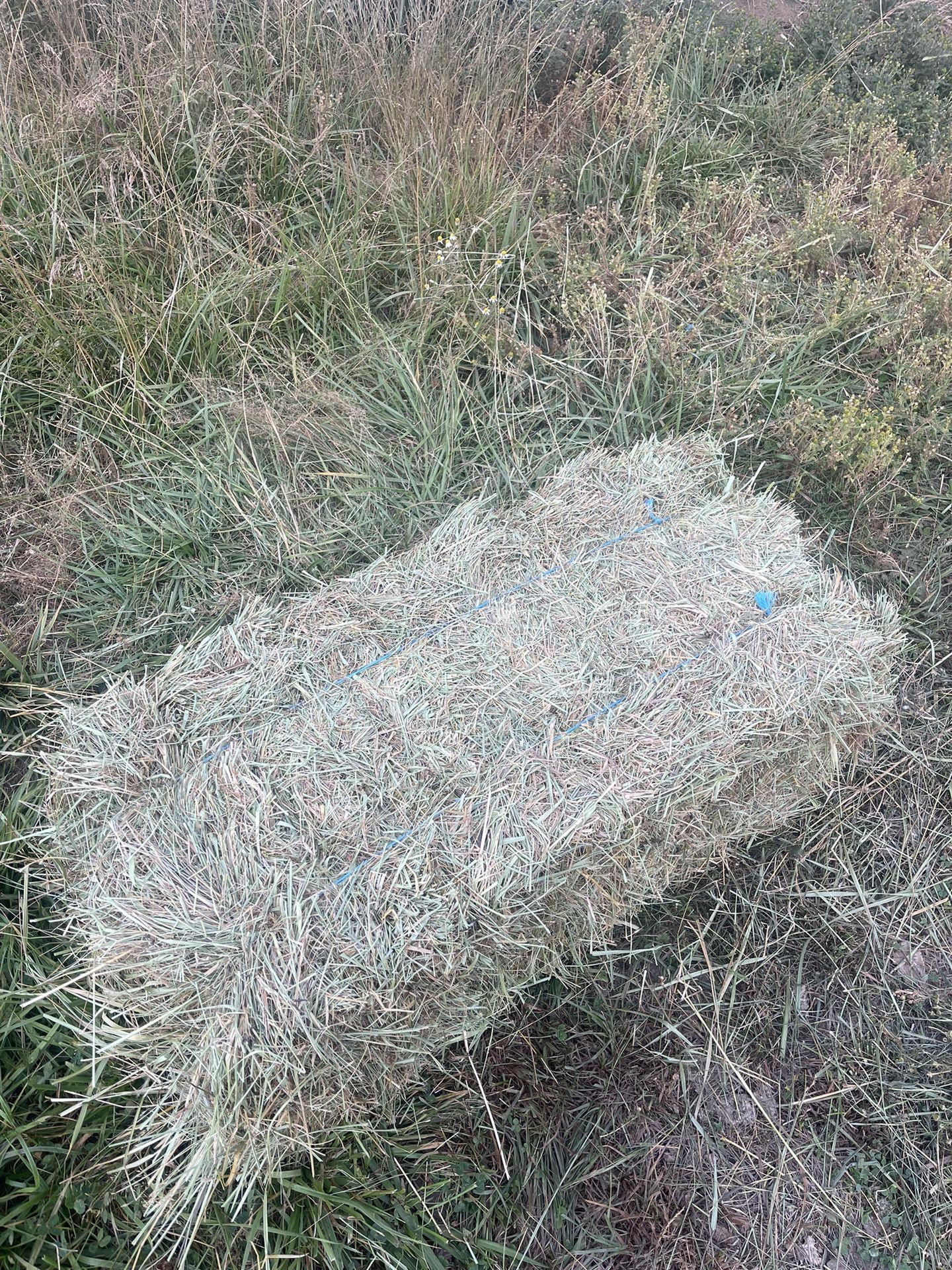Local Quality Grass Hay