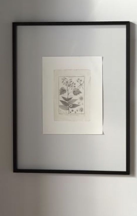 NEW Pottery Barn Floating Wood Gallery Frame, 28x36 (29x37 overall) - Black