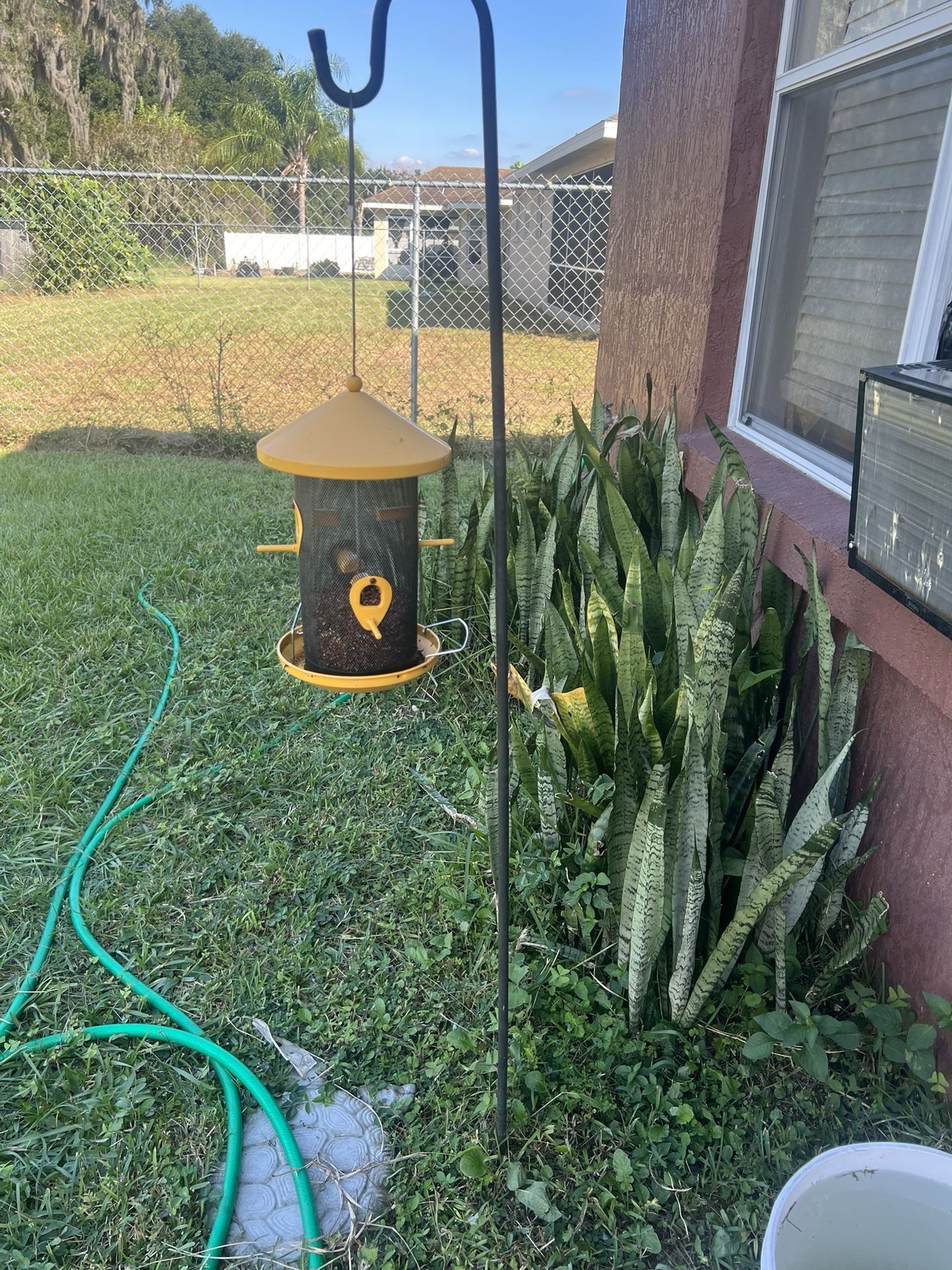 Bird Feeder With Stand