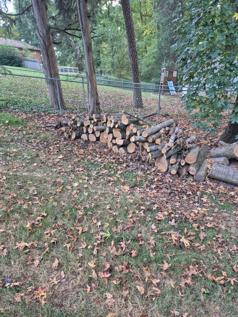 Free Fire Wood