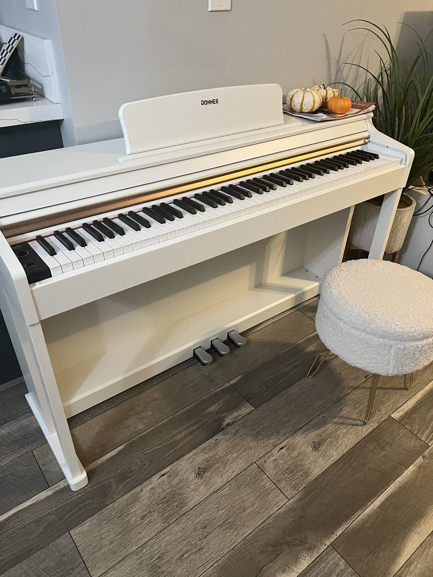 Brand New Donner Piano DDP 100 Retail $619