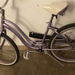 Legacy Purple Bike 