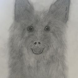 Home Decor Dog Sketch