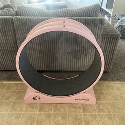 Cat Treadmill