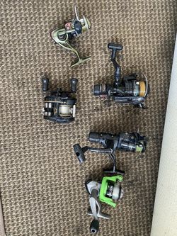 Fishing Reels Spinning Baitcaster Conventional Tackle Shimano Daiwa Halibut Bass