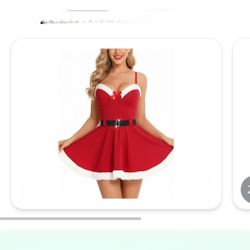 Womens Santa Dress
