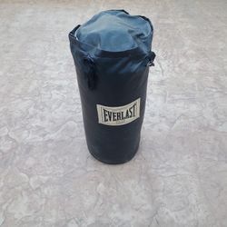 Everlast Punching Pag