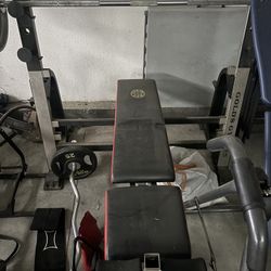 Bench Press 
