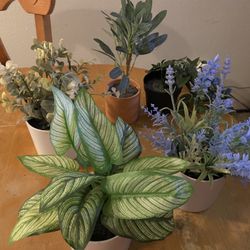 Artificial Plants