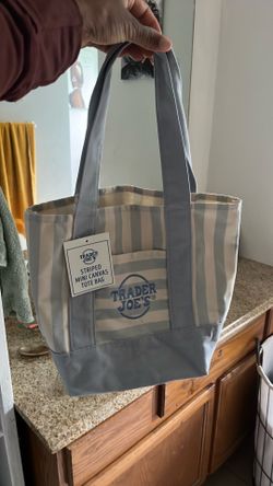 Trader Joe’s Striped Mini Canvas Tote Bag (Baby blue)