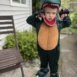 Dinosaur Costume. Size 4/5