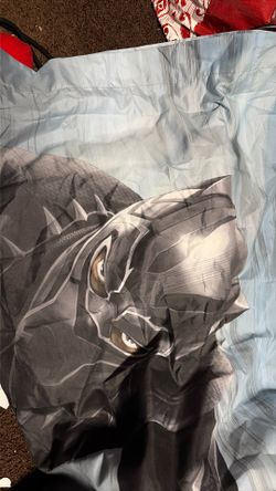 On sale for just 200 panther pillow case