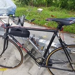 Trek Bike For Adults