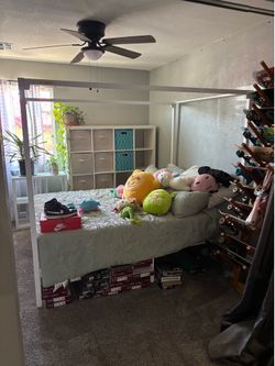 Bedroom frame and shelves