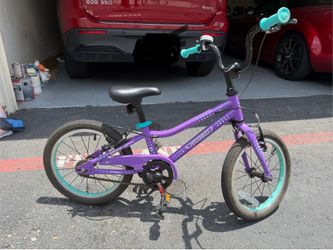 Guardian Bike 16” 4-6yrs