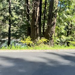 Fully Licensed Farm For Lease.