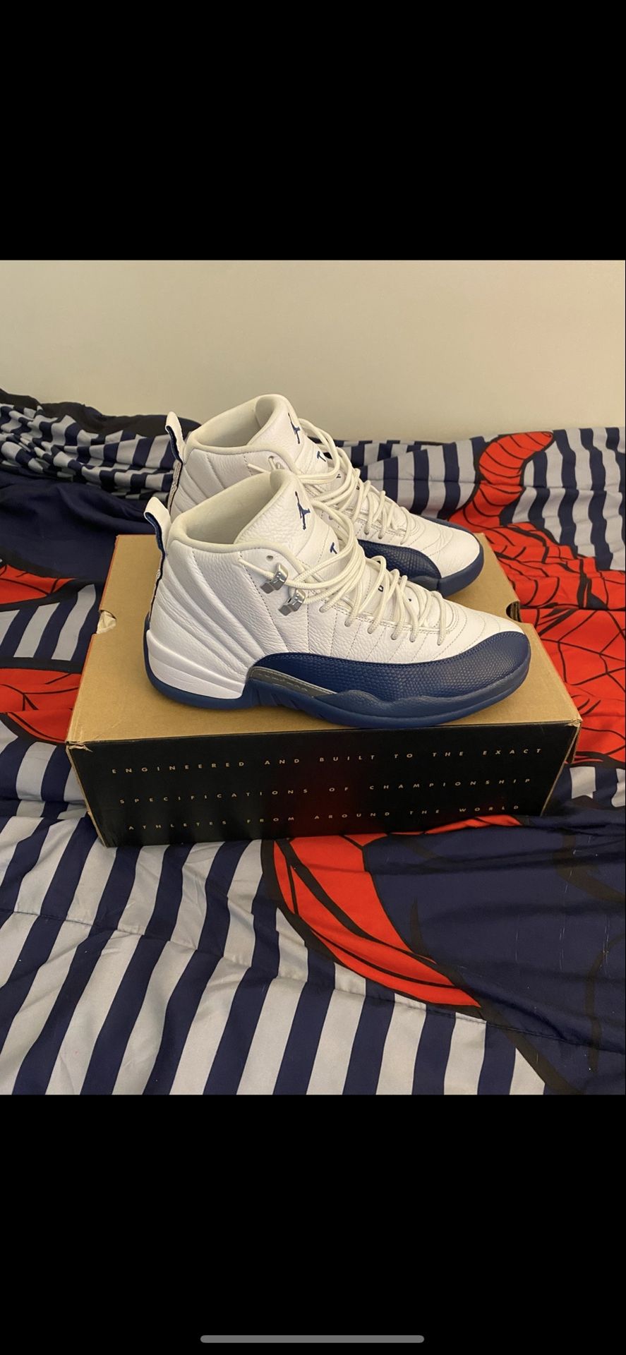 Jordan 12 french blue size 9