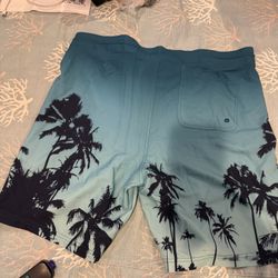 Men Swimming Shorts