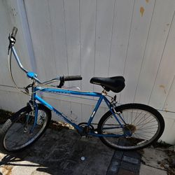 Schwinn  7 Speeds  Bike 