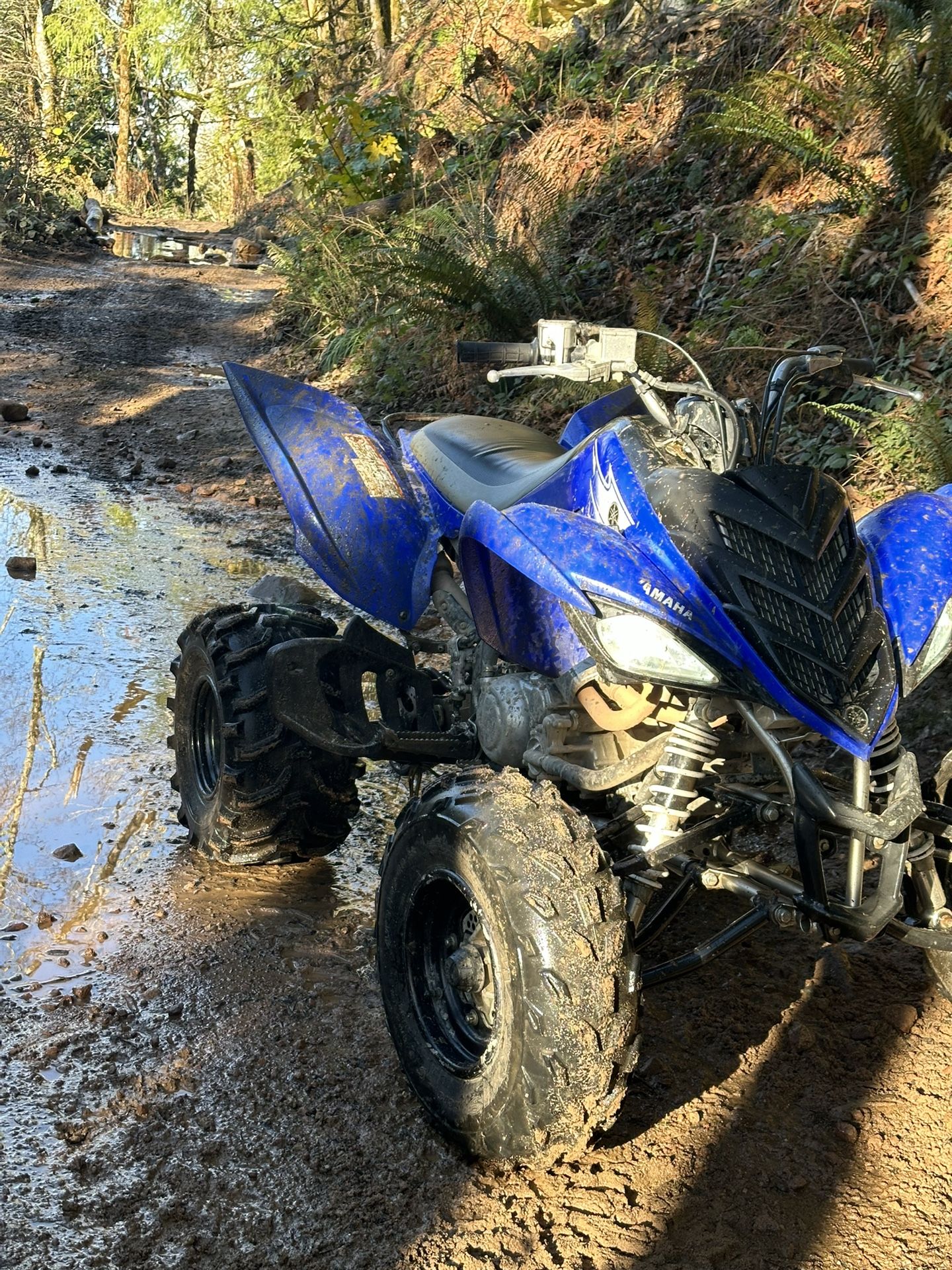 2007 Yamaha Raptor