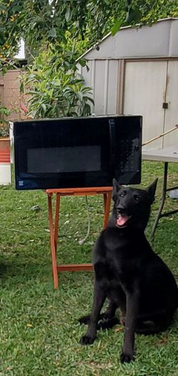 KENMORE MICROWAVE