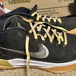 Kobe Mamba Rage (custom Laces)