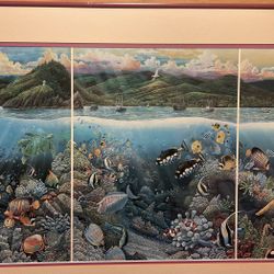 Fishes Of The Sea 