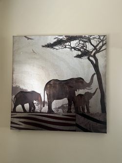 African Animal Pictures