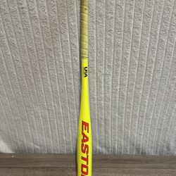 Easton Rival Bat