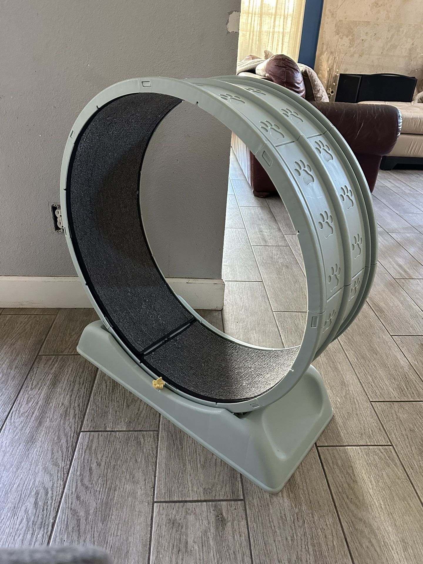 Cat Exercise Wheel