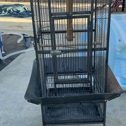 Bird Cage 