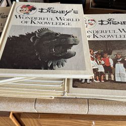 Vintage Disney’s Wonderful World of Knowledge books
