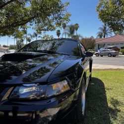 2004 Ford Mustang
