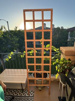2 X 6' Wooden Plant Trellis for Sale in Irvine, CA - OfferUp