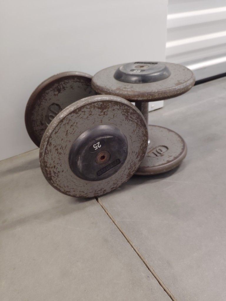 25 Pounds Dumbbells