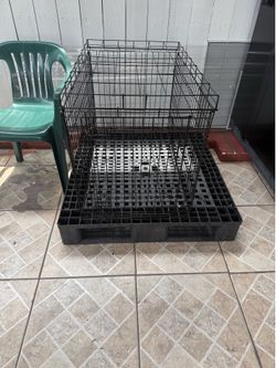 Jaula para perro