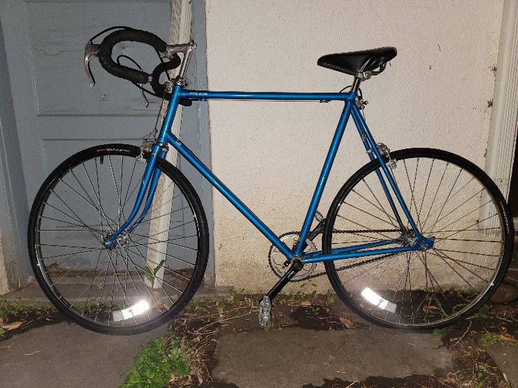 Vintage Nishiki Sports Special Single Speed Road Bike