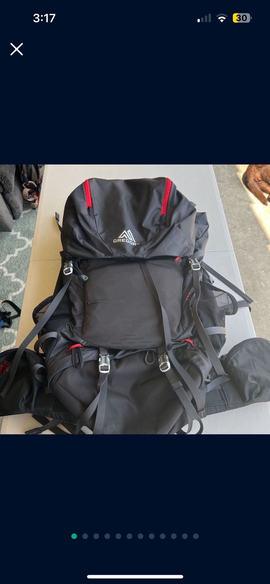 Gregory Backpack